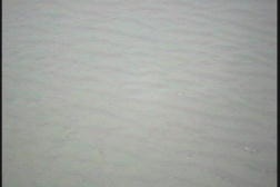 �C�̒������Ă݂܂��傤�E�C��̍��n